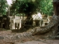 10 indochina08
